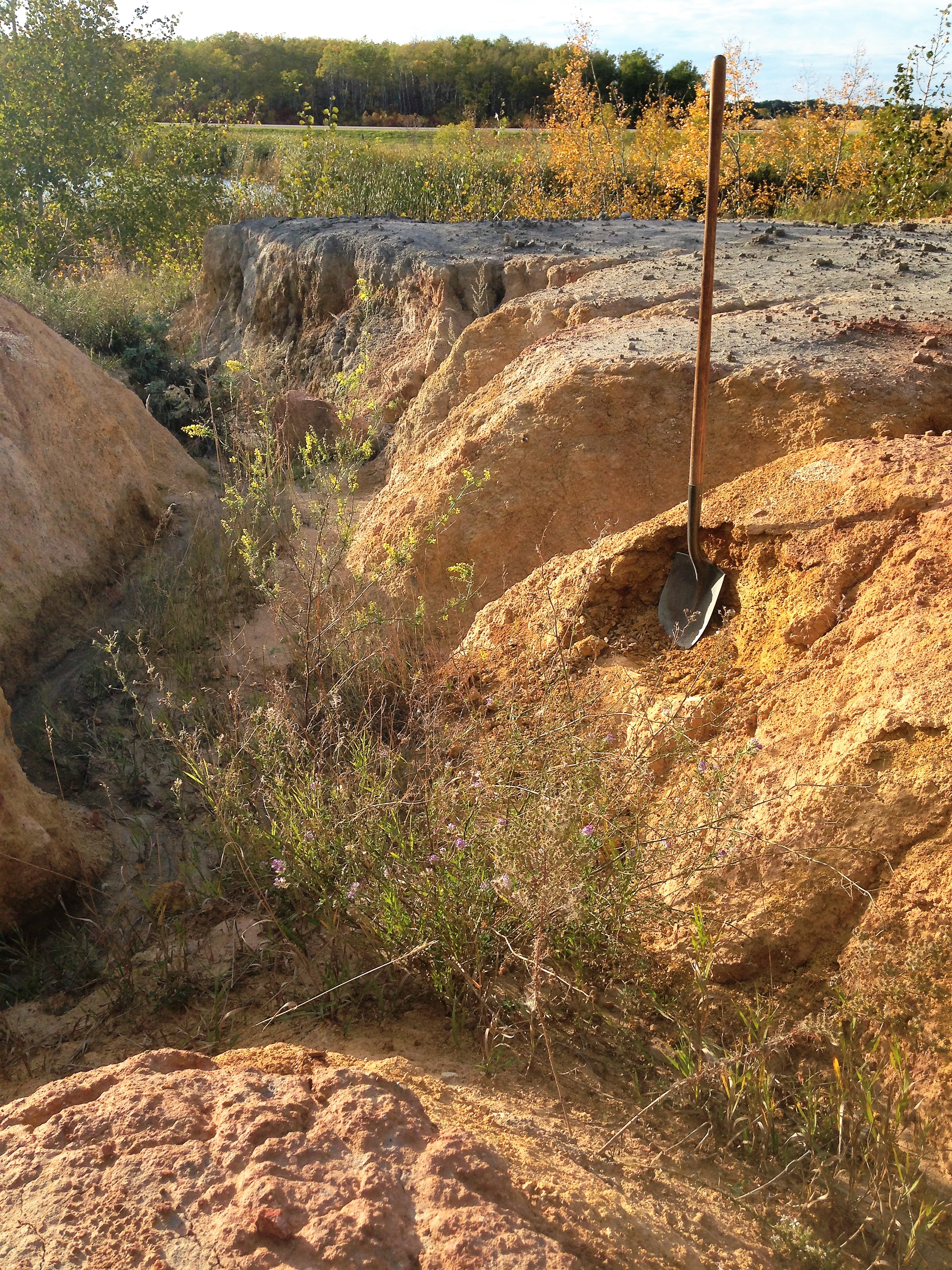 One of the very few fireclays that still exist in Manitoba after the last glaciation. This deposit is in an area that I have hiked since I was a child. Photo by artist.