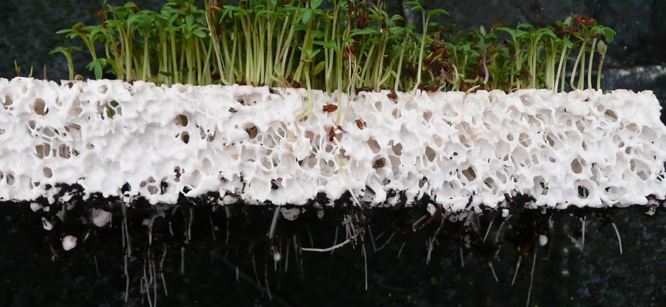 Cross section of a sample "Green Wall" tile developed by Kaufmann in collaboration with researchers at University for Engineering, Architecture, and Landscape Architecture (HEPIA), Geneva, Switzerland, 2008.