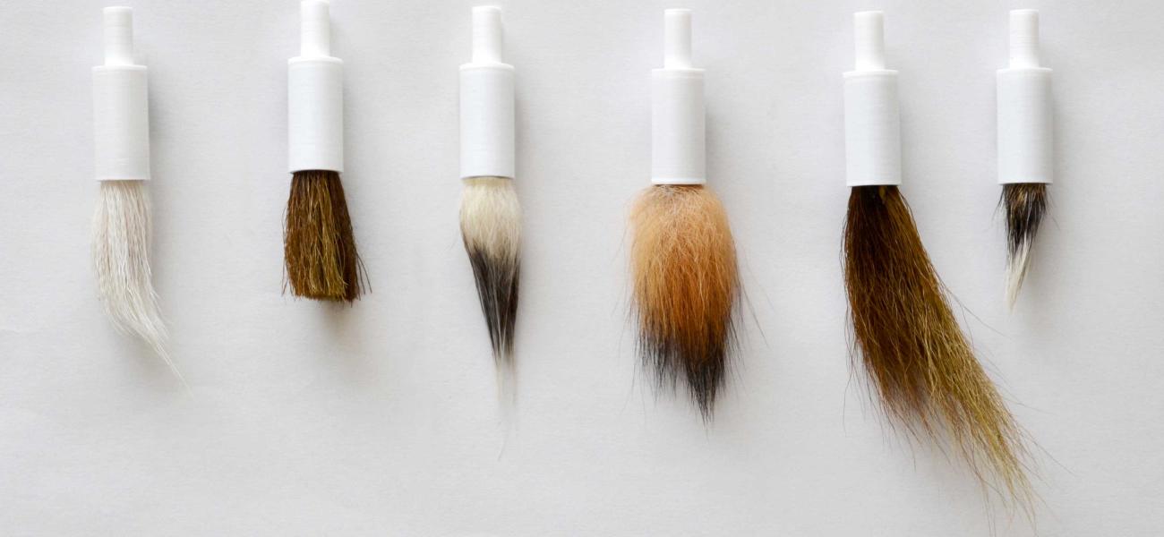 Custom brushes, 2015. 3-D printed shaft, various animal hair. Photo by artist.