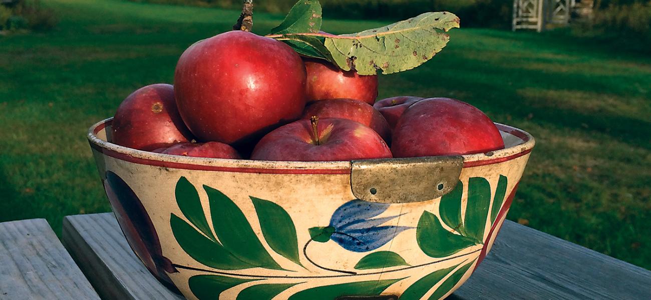 Large pearlware bowl from about 1850 with metal repairs, found in India. Photo by Andrew Baseman, 2015.