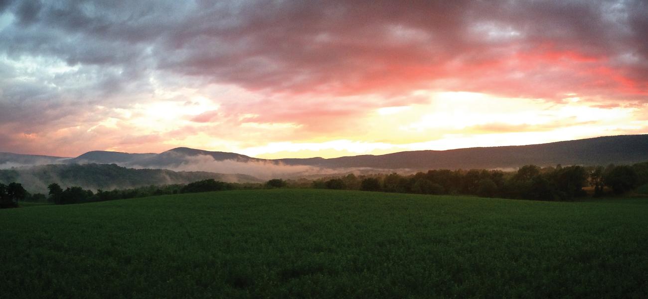 Hawk Mountain near Kempton, PA, at sunset, 2016. Photograph by Lisa Gauker.