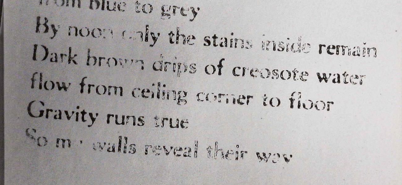 Photograph by Forrest Snyder.