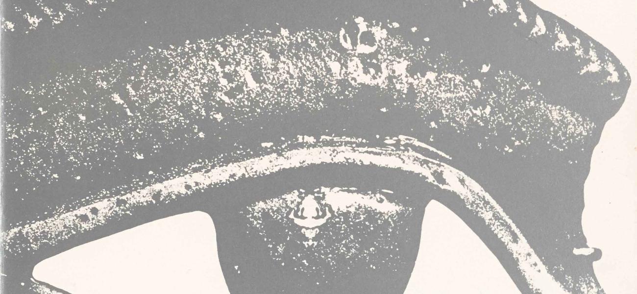 Vol. 17 No. 2 - Perception, Cover