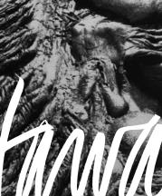 Hawaii Potters, Vol. 18, No. 2, 1990