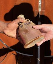  Von Venhuizen - The Gift