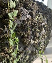 Anna Cebular, Guards of the Wilderness (detail)