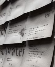 Photograph by Forrest Snyder.