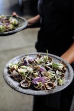 Mudshark Studios / Eutectic Gallery